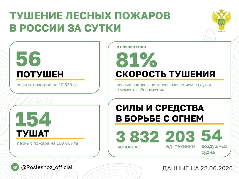 🟢 За прошедшие сутки в 14 регионах России потушили 56 лесных пожаров. 
Продолжается тушение 154 лес