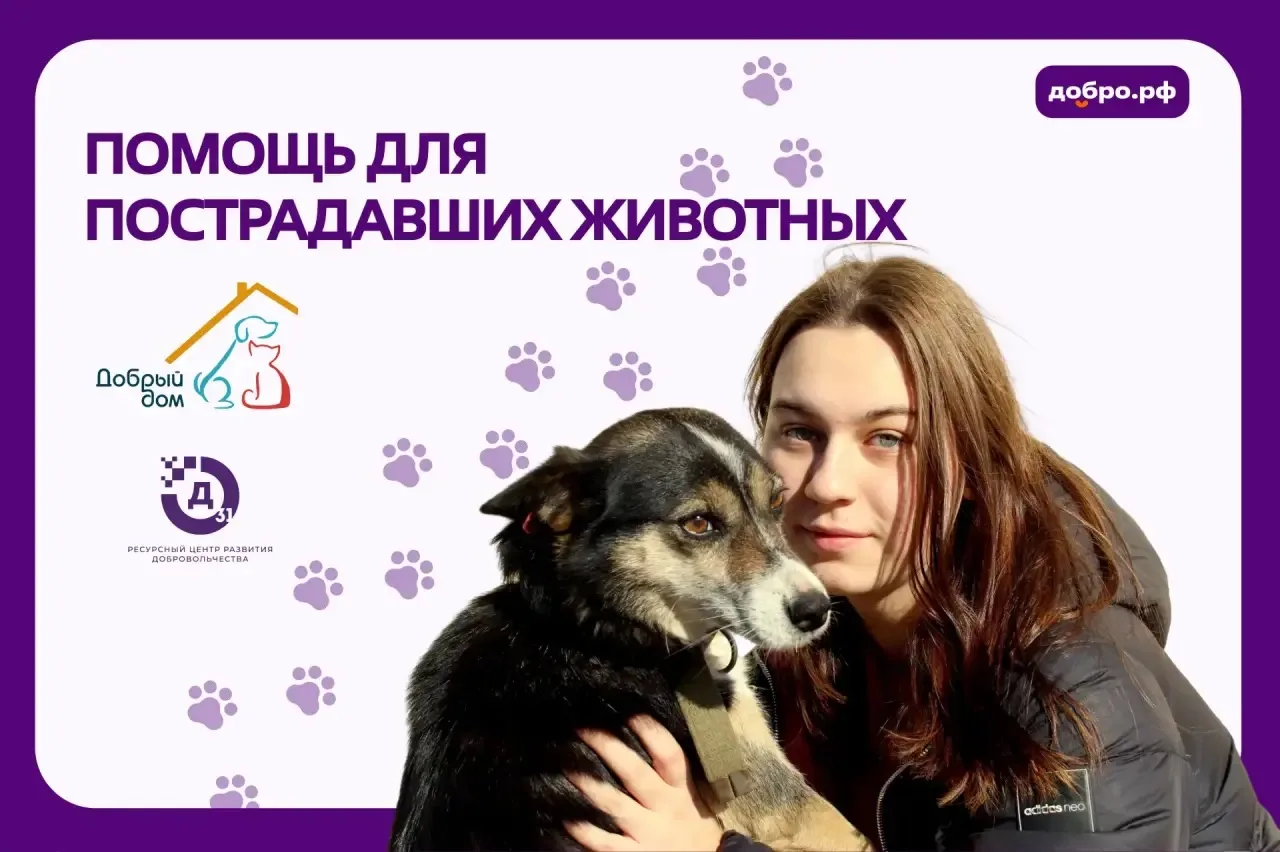 🐾 Ресурсный центр развития добровольчества Белгородской области открывает сбор помощи ...