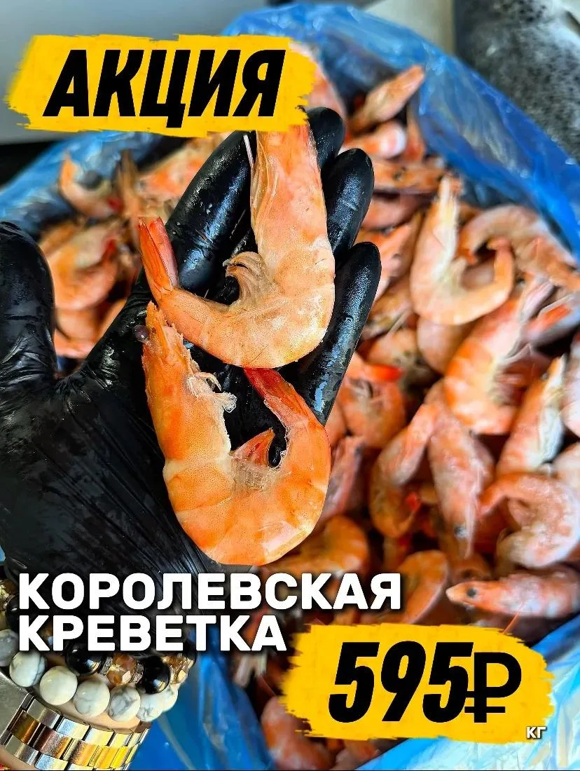 🦐 ТАКУЮ АКЦИЮ ПРОПУСКАТЬ НЕЛЬЗЯ ❤️

❤️Пока действует акция — грех не воспользоваться!

🦐КОРОЛЕВСКА