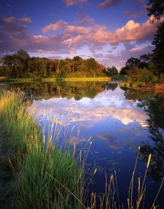 Класс