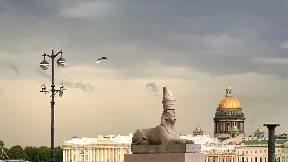 Не улетай от своих