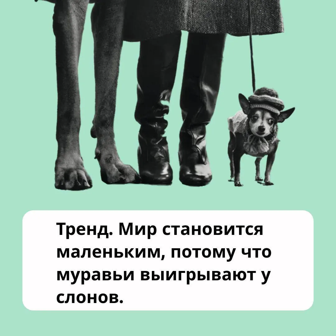 🐜 Вы замечали, что в последние годы крупные социальные структуры начали рассыпаться на более мелкие