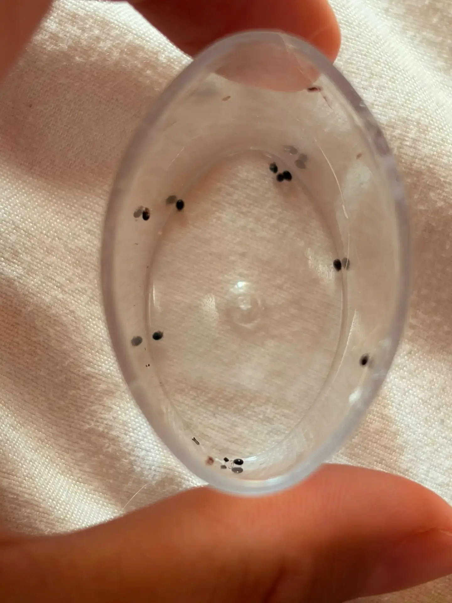 Десяток микроклещей сняли с животных , будьте осторожны
+++++++++++++++++++±+++++++++ 
Солнечногорск