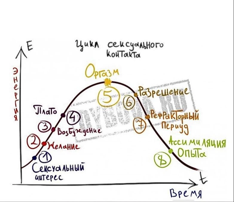 ⬇️Сексология в гештальт-подходе