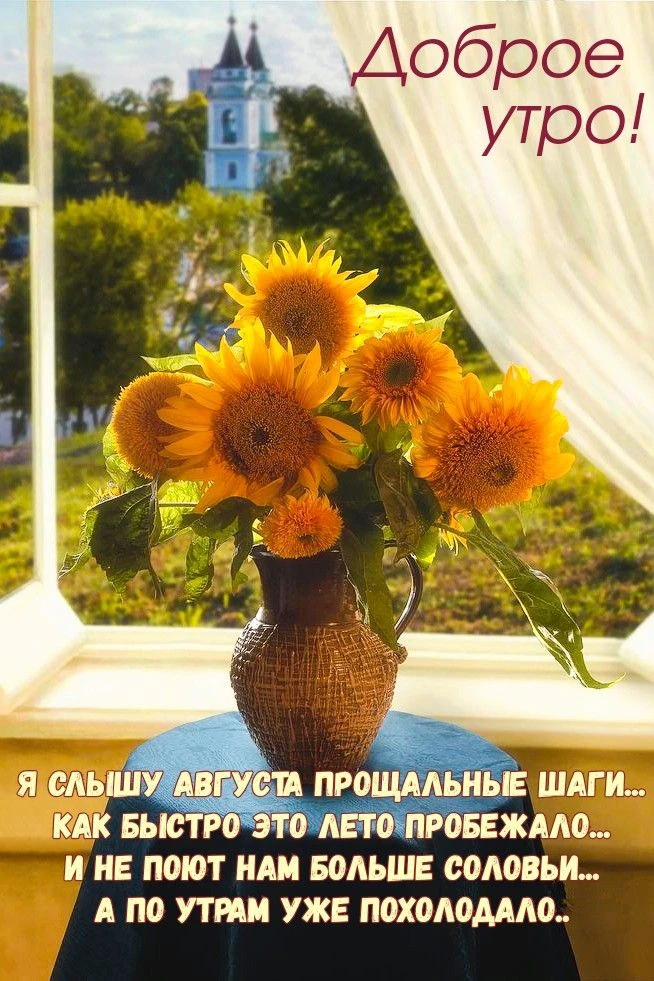 ☕️всем доброе утро!!