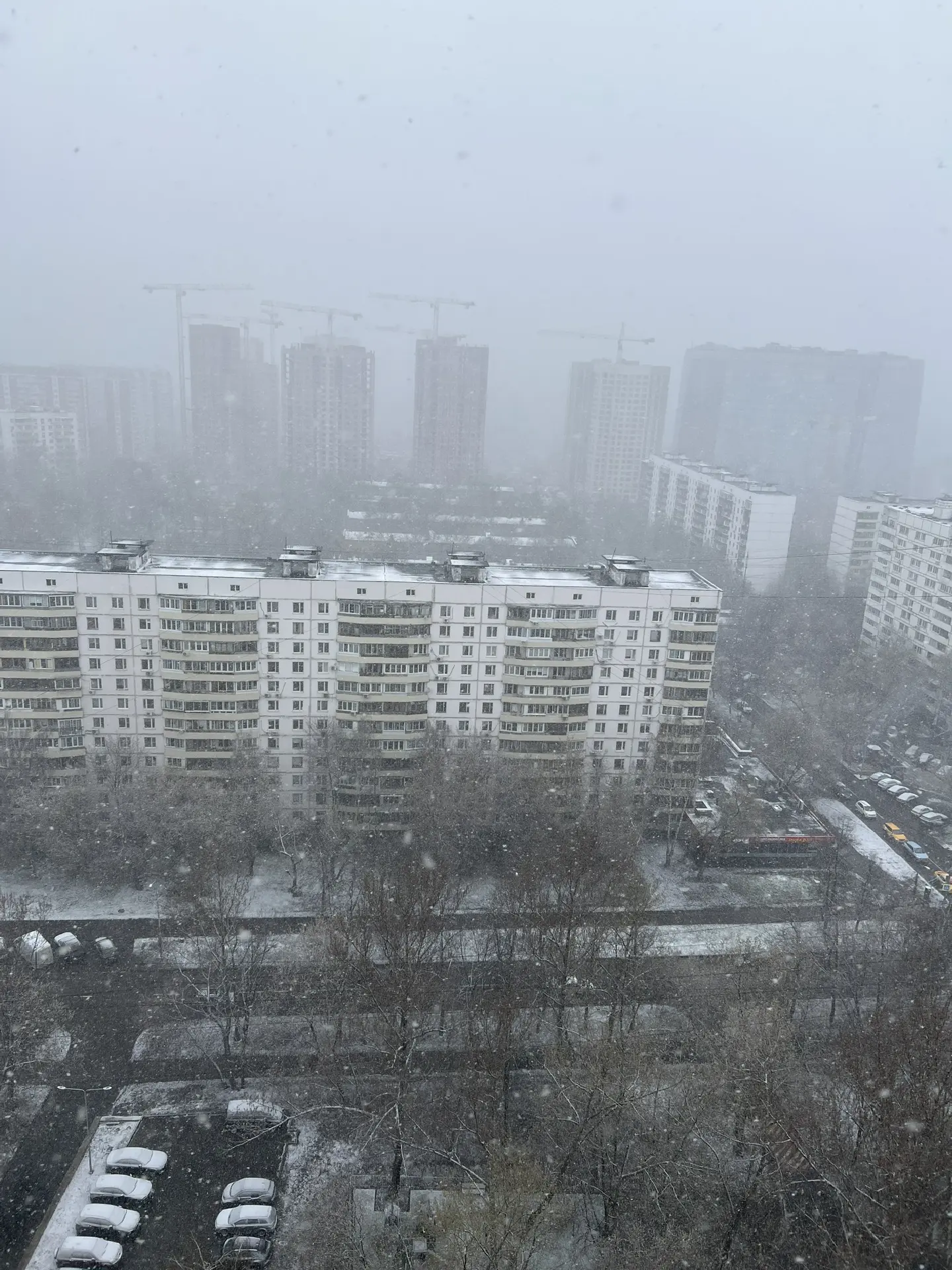 Погода в Москве и области не хочет, чтобы мы начинали сезон слишком рано. И, похоже, на...