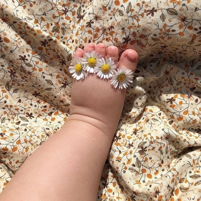 Ромашки 🥹🤍