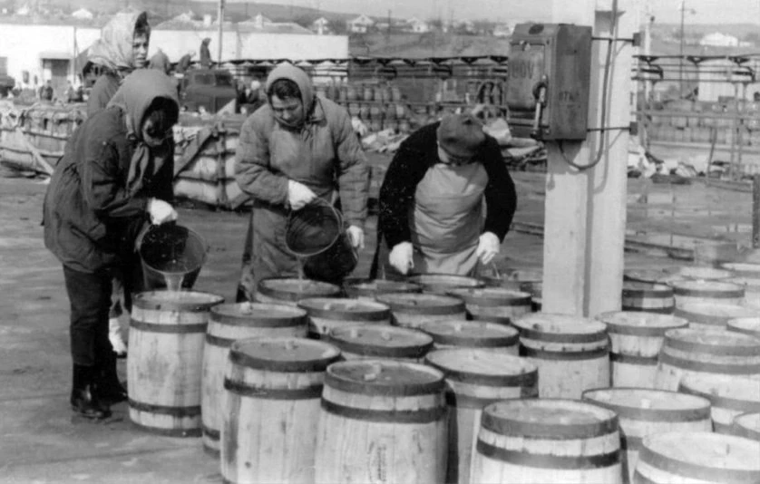 На рыбкомбинате в Опасном солят рыбу. Фотография примерно 50-летней давности.