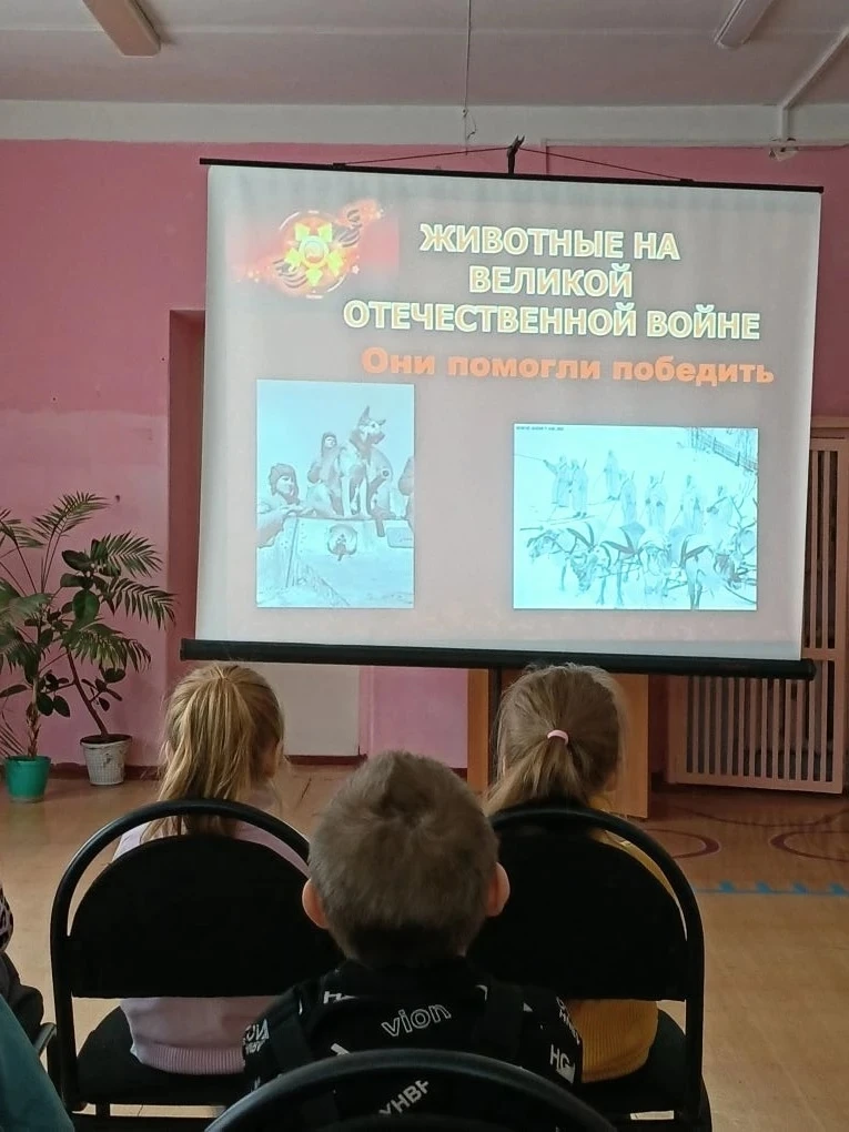 📖 Путешествие в библиотеку: животные на Великой Отечественной войне 📖