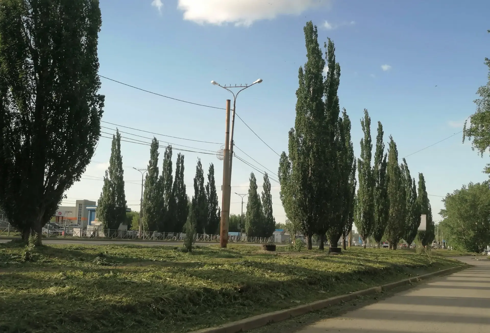 В Каменске-Уральском начали косить траву на городских газонах    Так сейчас выглядит улица Суворова 