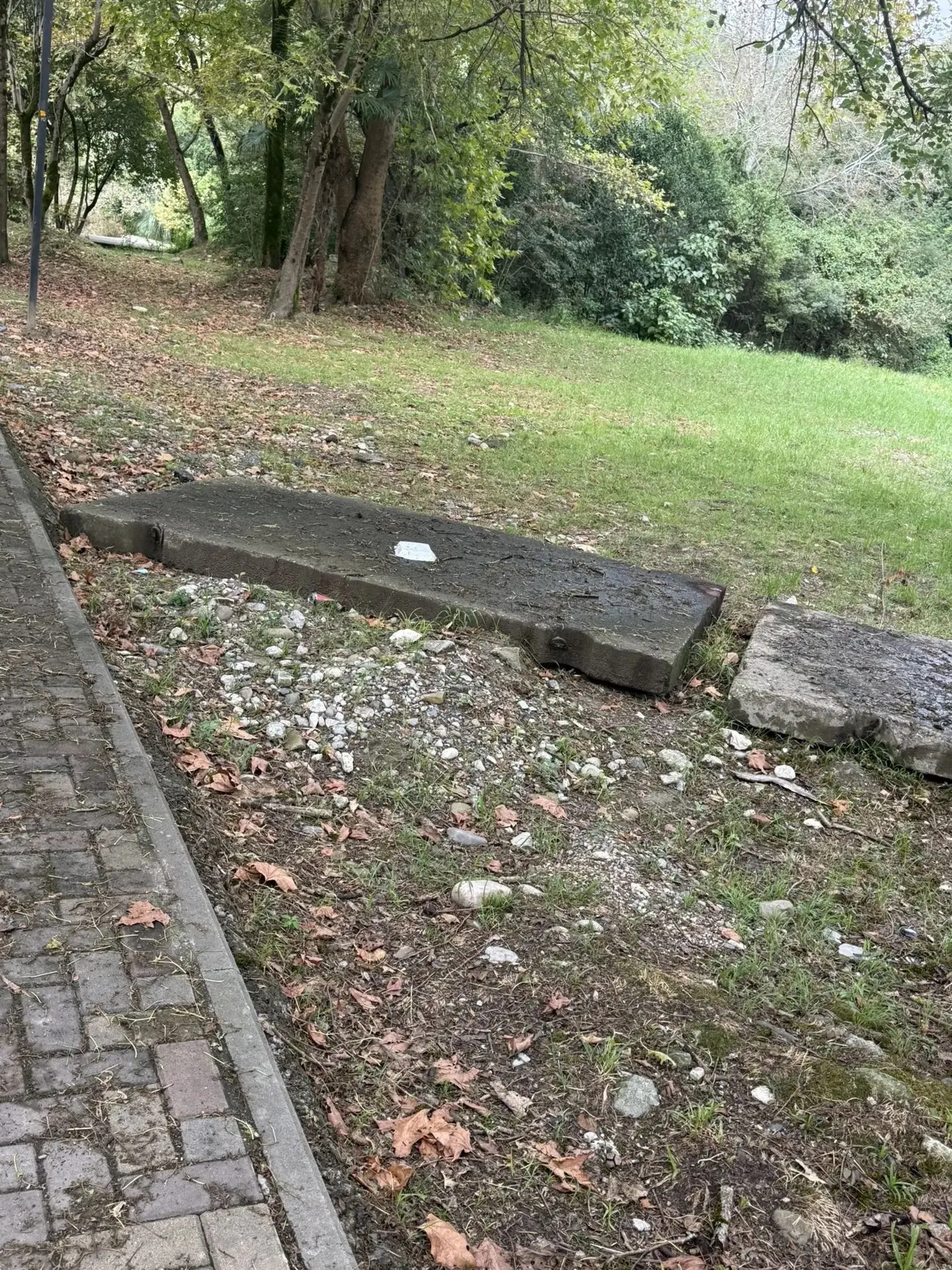 🗑 Хоста утопает в мусоре — жители просят навести порядок