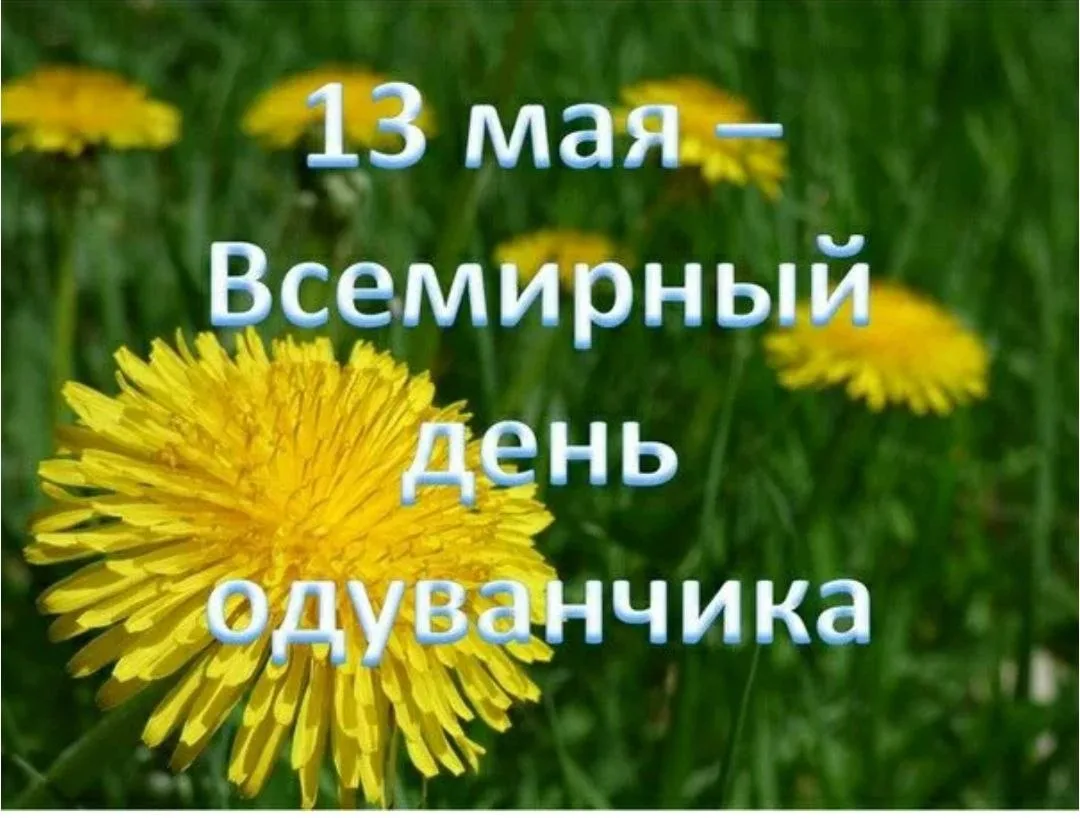 ✨ Всемирный день одуванчика в нашей группе! ✨