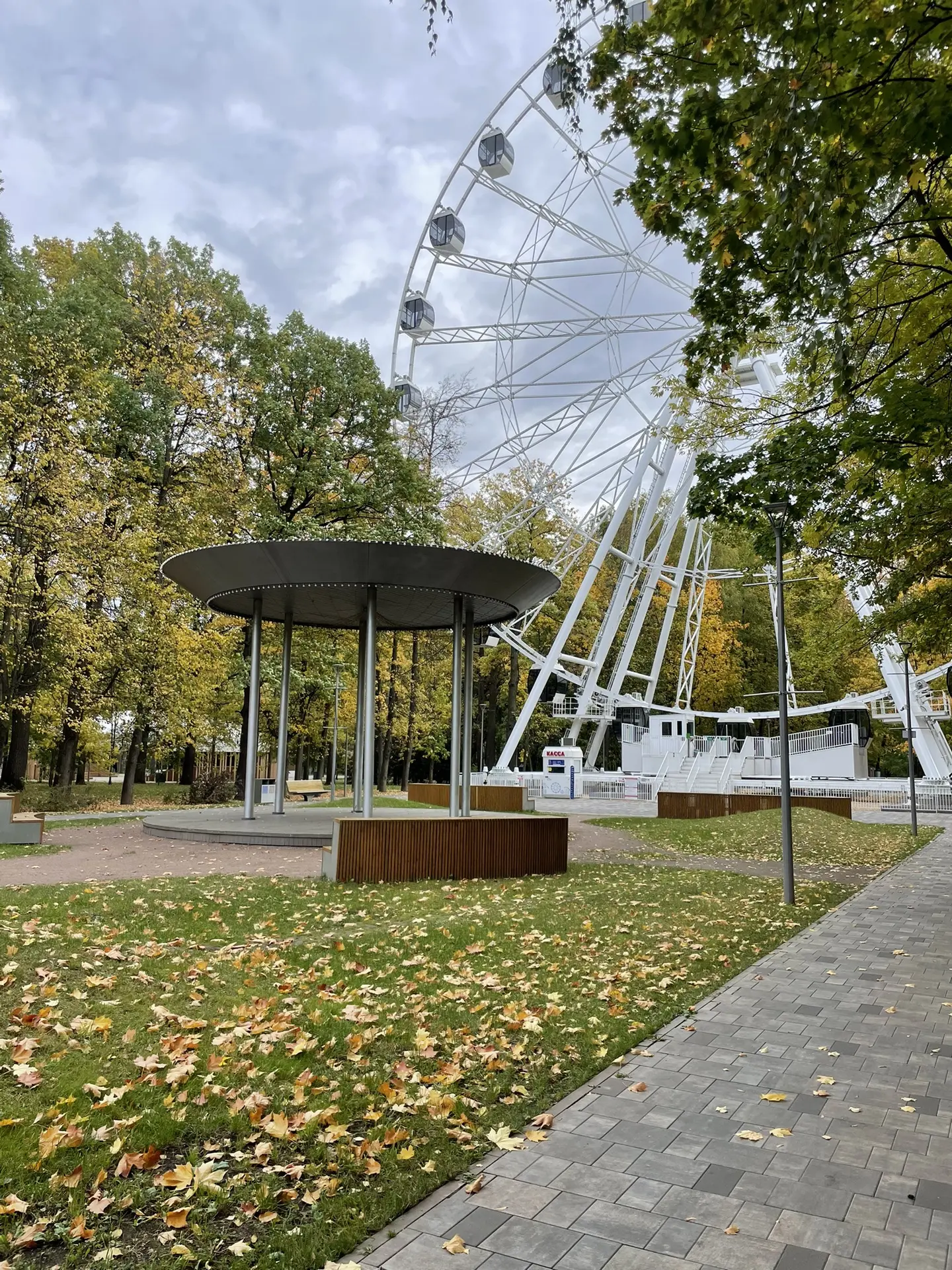 🌤 Доброе утро!