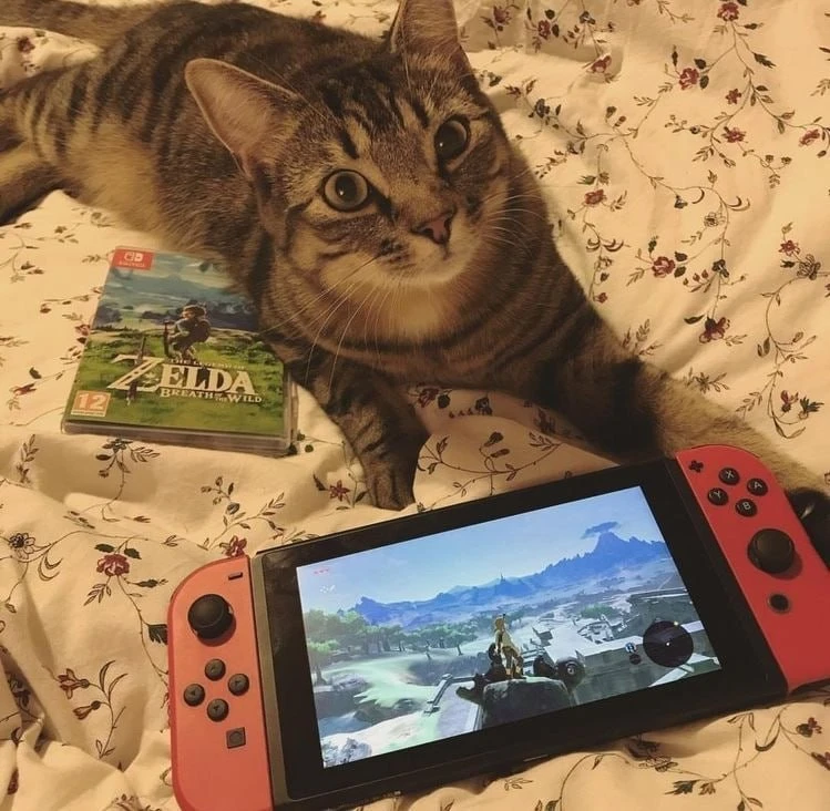 Давайте поболтаем! 🎮