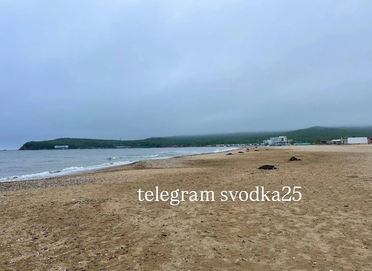 В районе Шаморы к берегу прибило мужчину, который днями ранее совершил прыжок с Русского моста  16 м