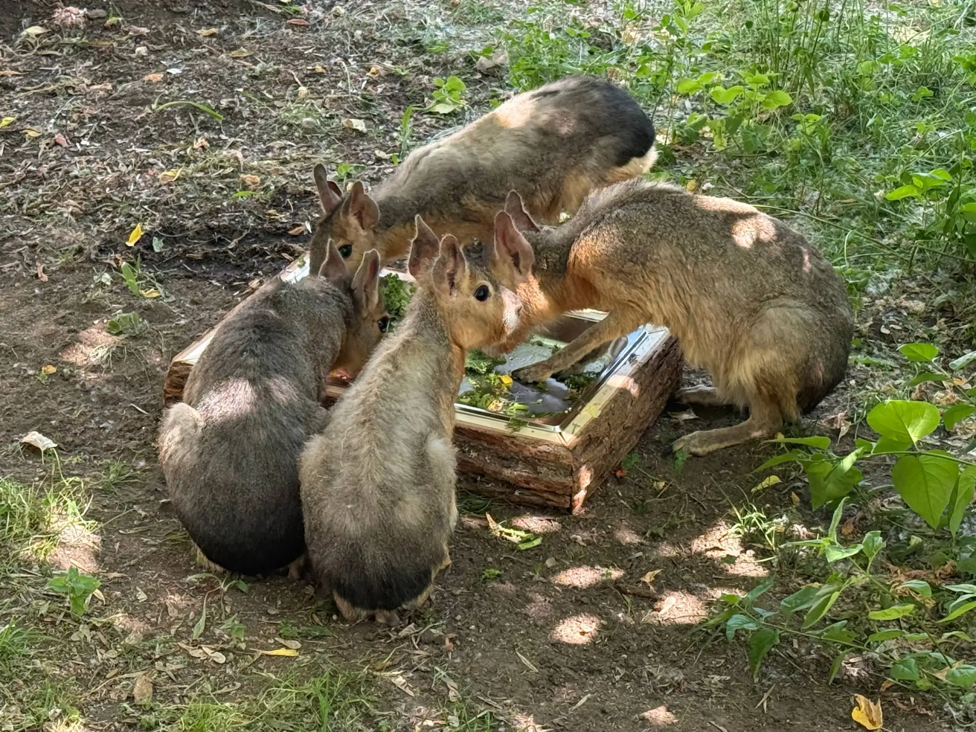 Обед по расписанию