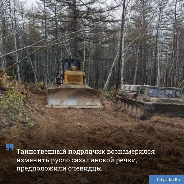 🫣 В редакцию Citysakh.ru обратилась местная жительница, которая обеспокоена состоянием природной лок