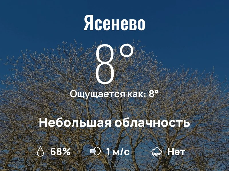 Что с погодой в Ясенево?