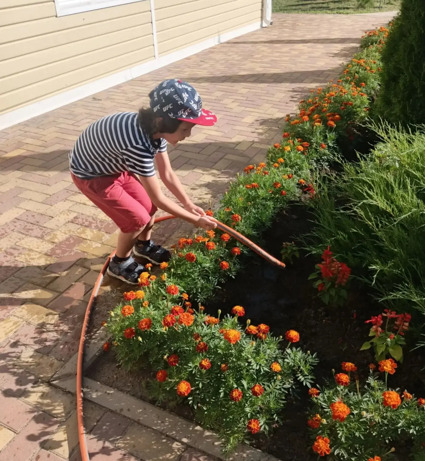 🌸  Наши садоводы в действии!🌸

Утро в  детском саду было особенно ярким ☀️ Ребята подготовительных