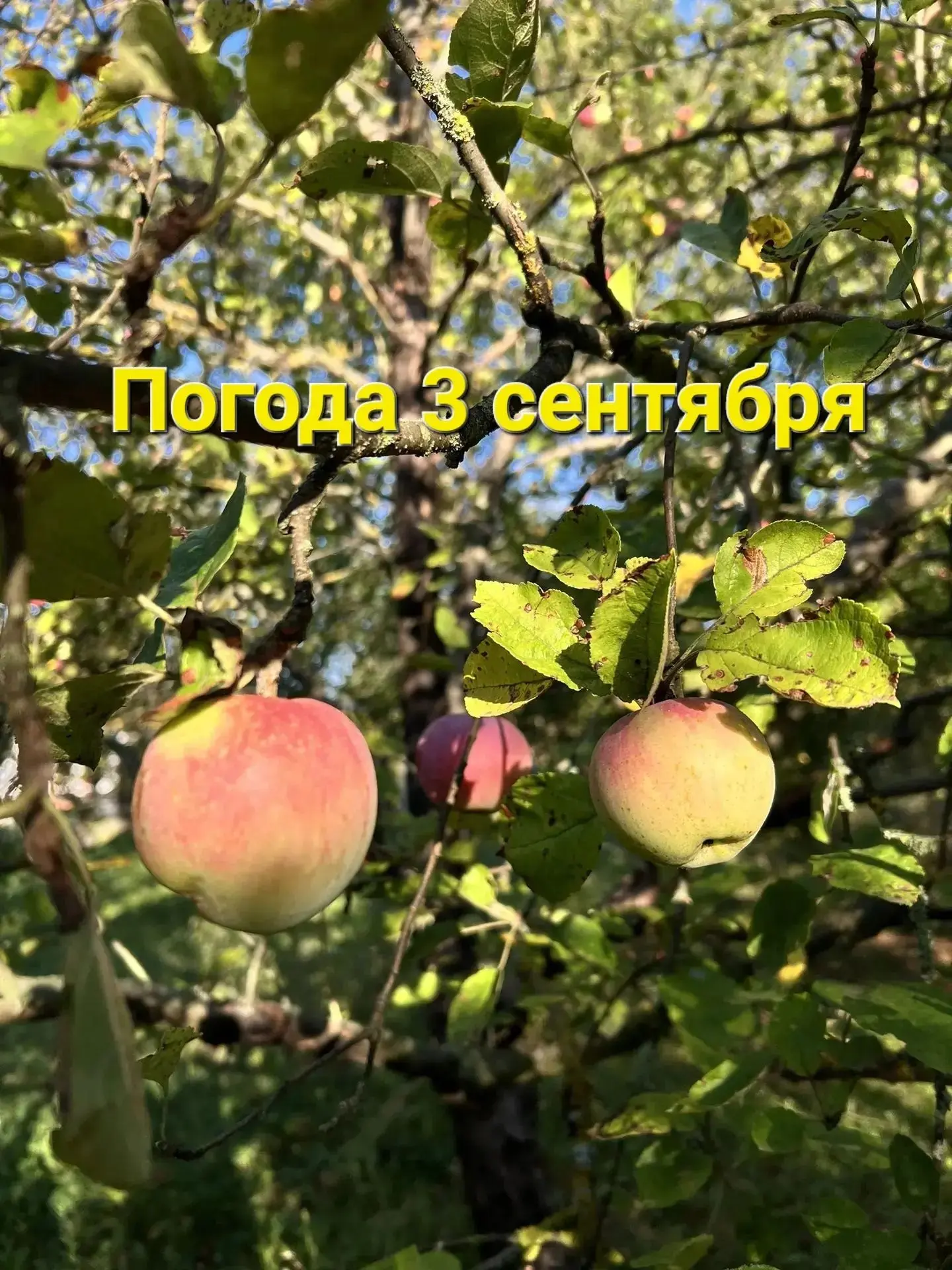 Еще один жаркий день
