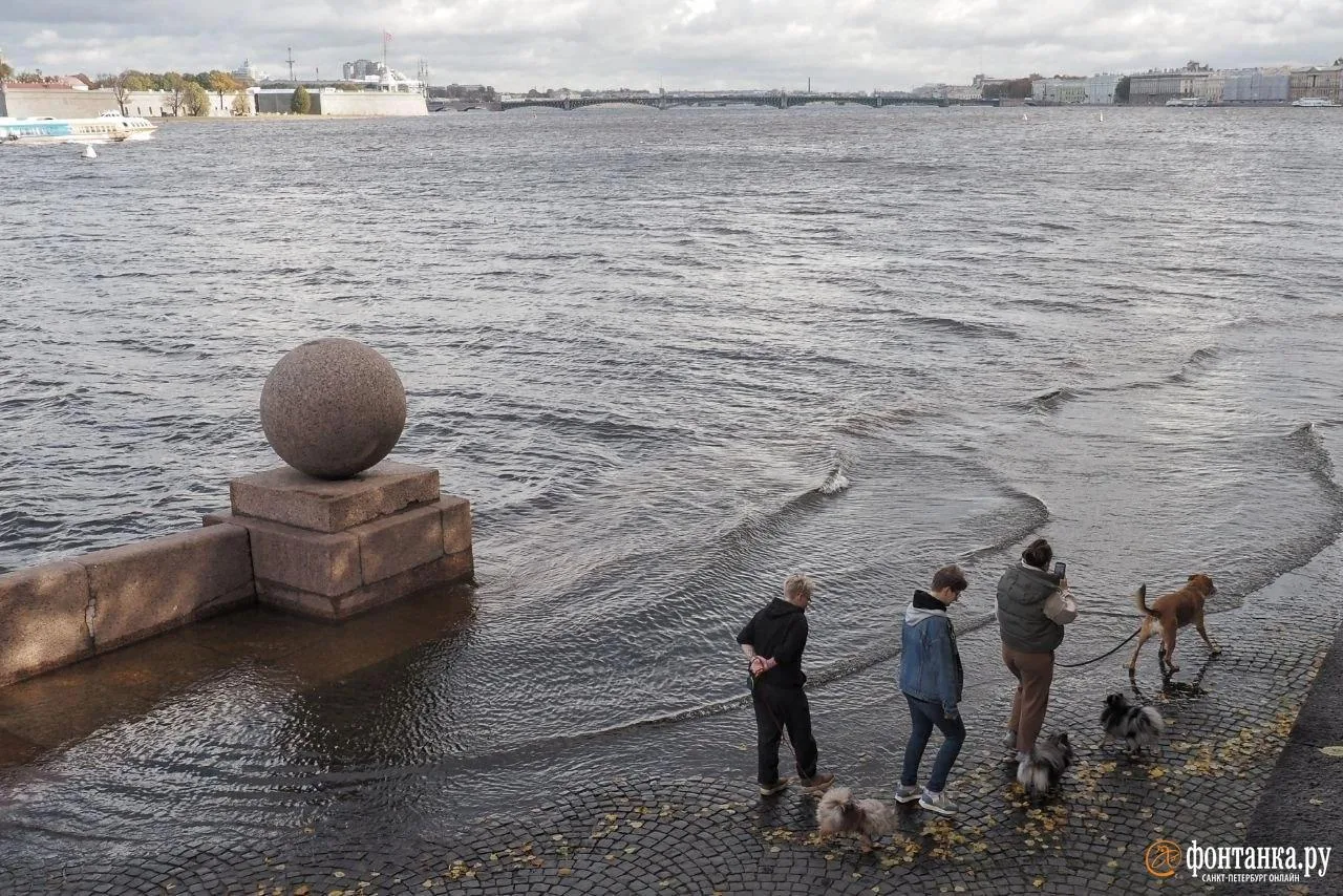 В Санкт-Петербурге уровень воды в Неве поднялся выше нормы: у Горного института зафикси...