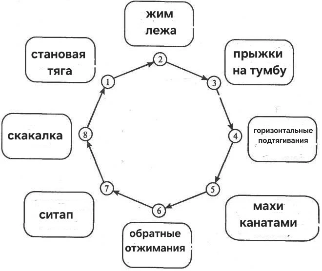 🤨 Программа на развитие силовой выносливости