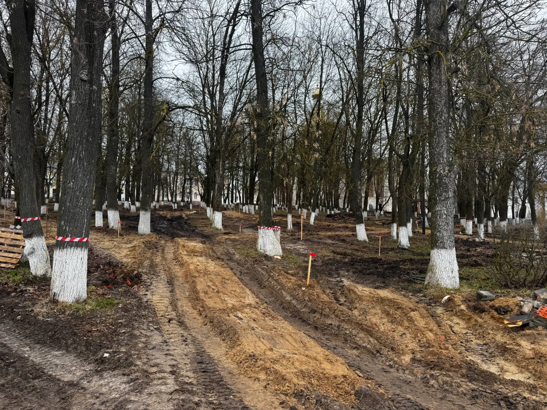 ⚡️Благоустройство Соборной площади перешло на следующий этап - начались работы в сквере