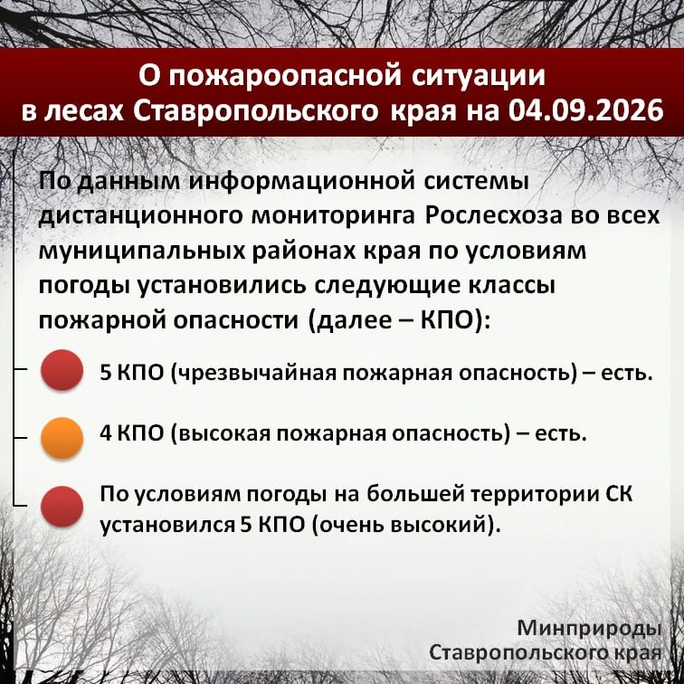🌲 По данным информационной системы дистанционного мониторинга Рослесхоза по состоянию ...
