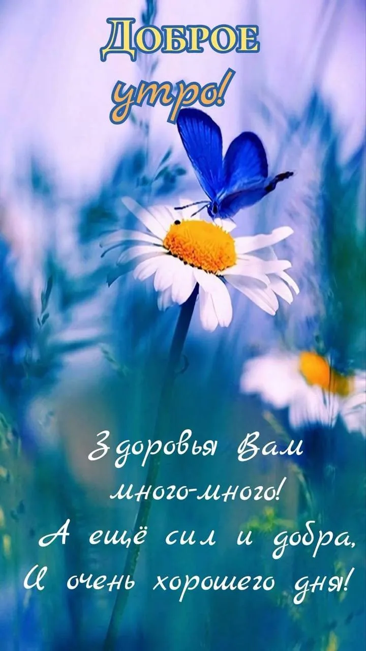 Женские открытки💝