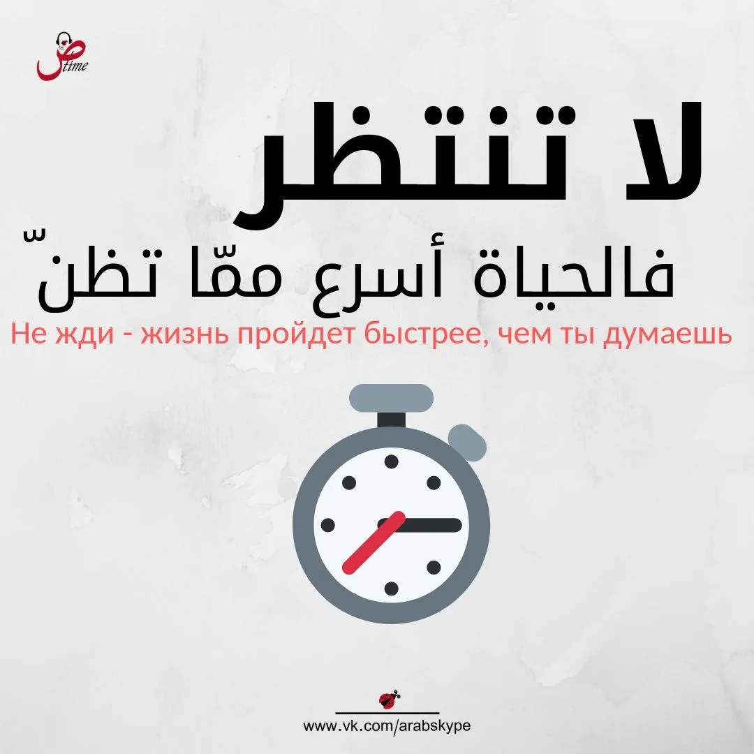 Цитата дня🍒
