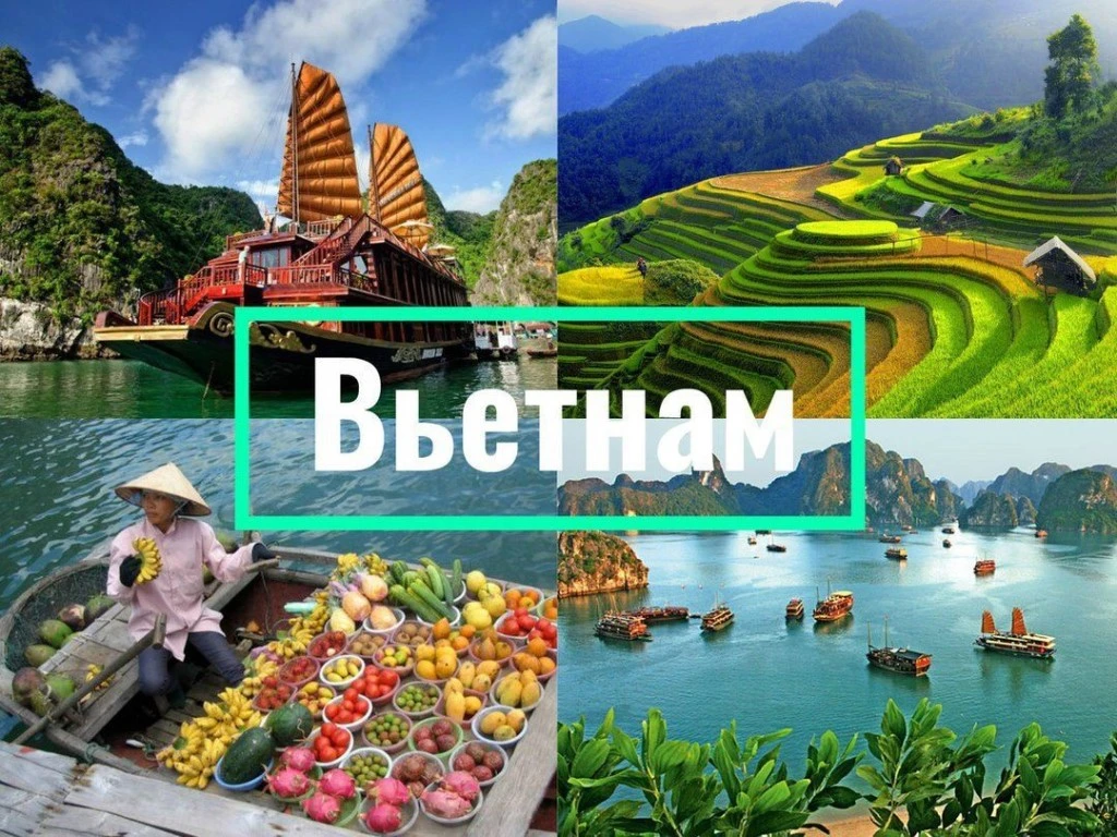 Вьетнам из Екатеринбурга ✈️ 31 июля:
