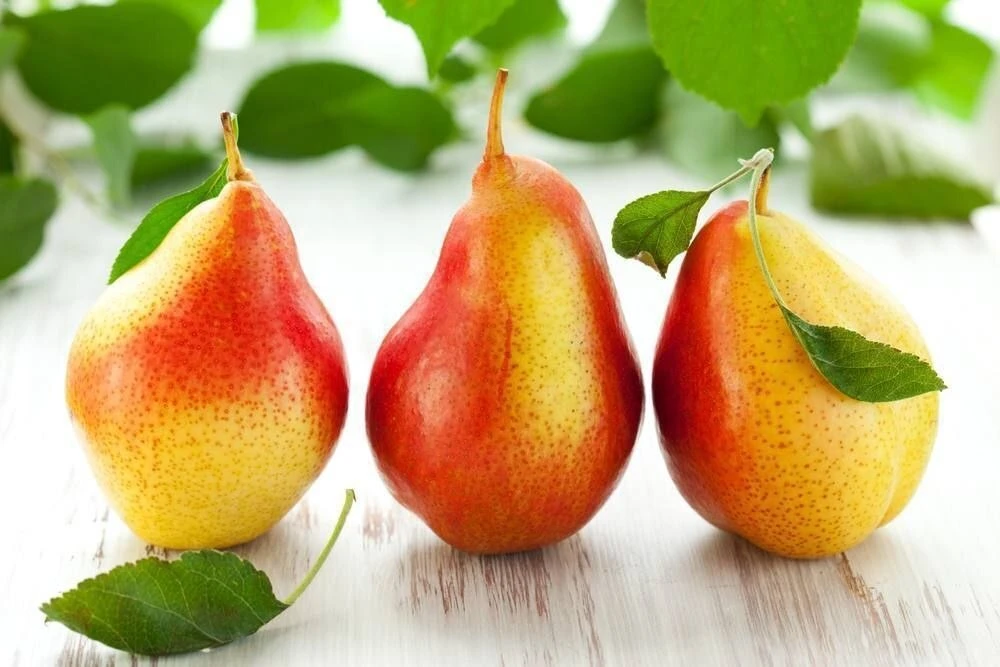 Польза груш!🍐

Груша укрепляет иммунитет человека!

Далеко не все знают, что груши — это эффективно