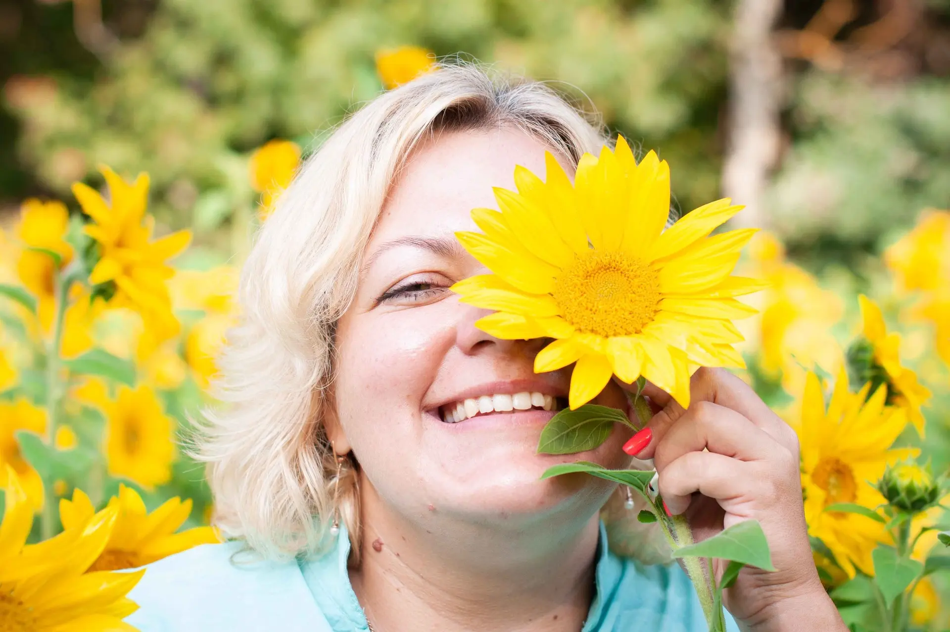 🌻 А вы знали, что подсолнухи умеют «следить» за солнцем?