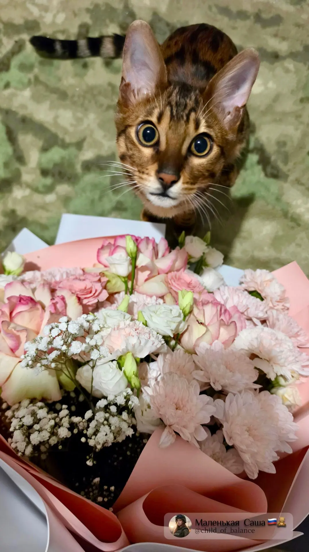 День рождения у мужа, а подарочки нам 🌸❤️