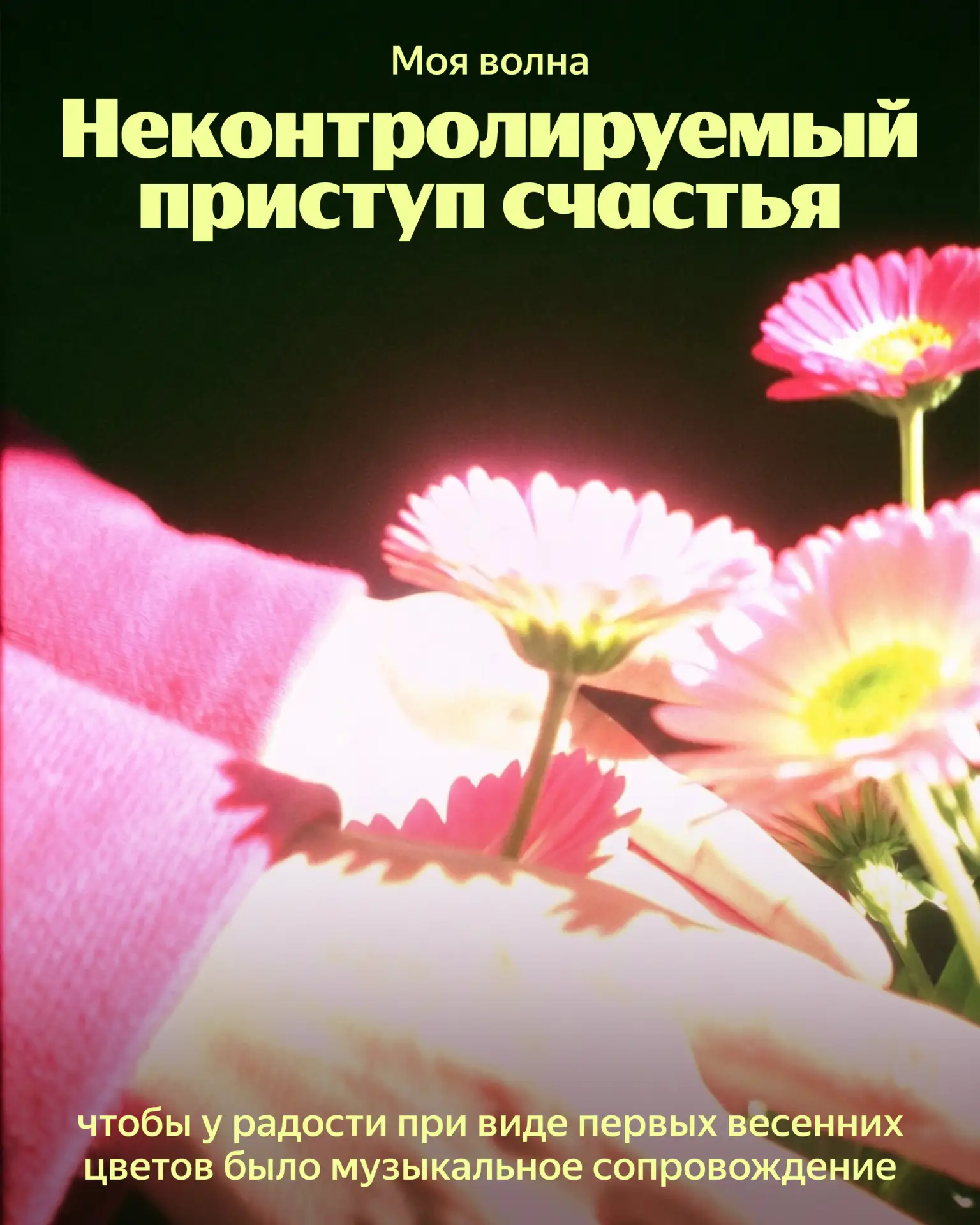 🌸 Ни за что не упустим такую тёплую весну — планируем слушать Мою волну даже там, где нет сети.   На