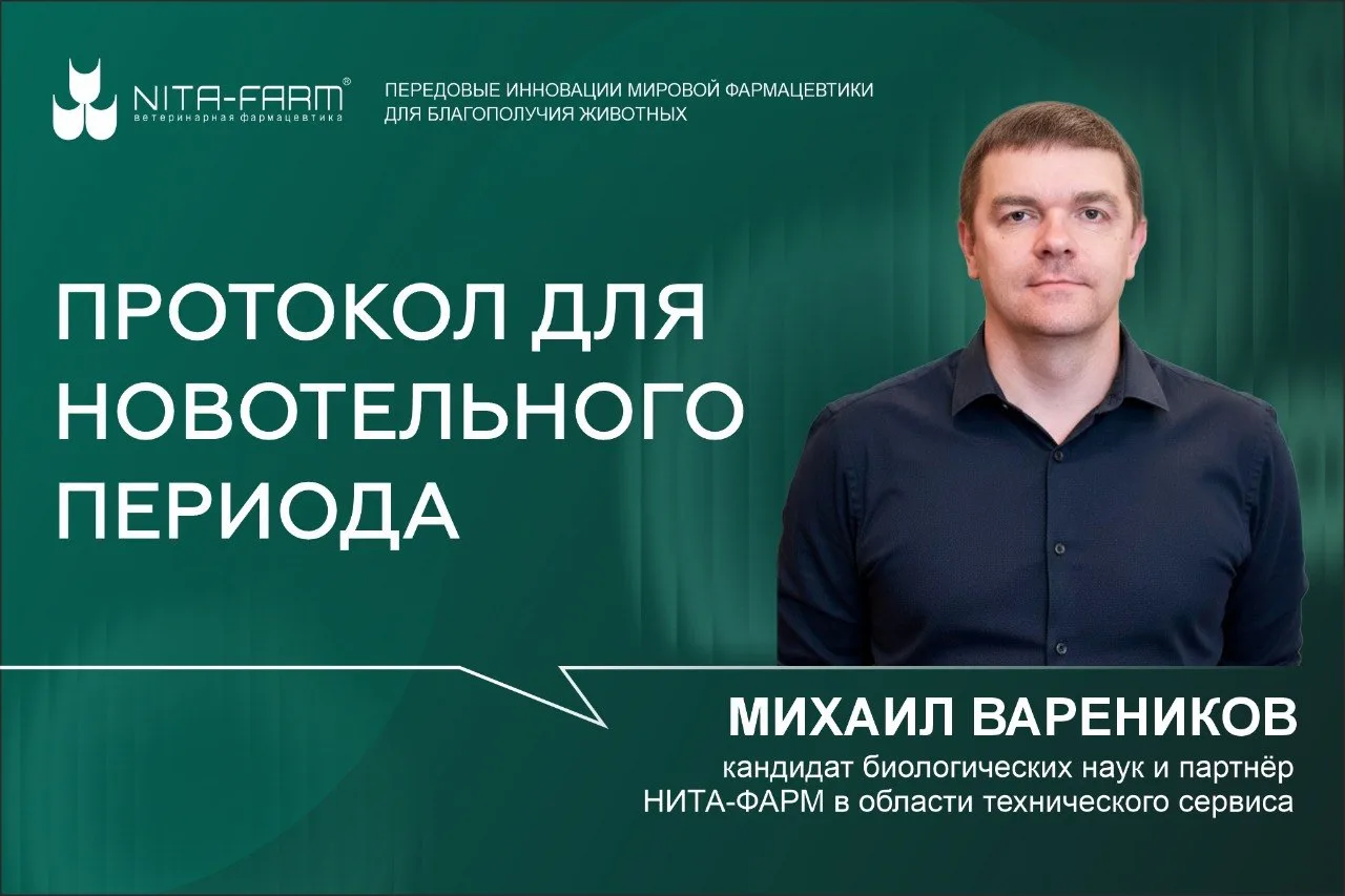 Протокол для новотельного периода: как перестать гадать и начать действовать по плану 📌

В новотель