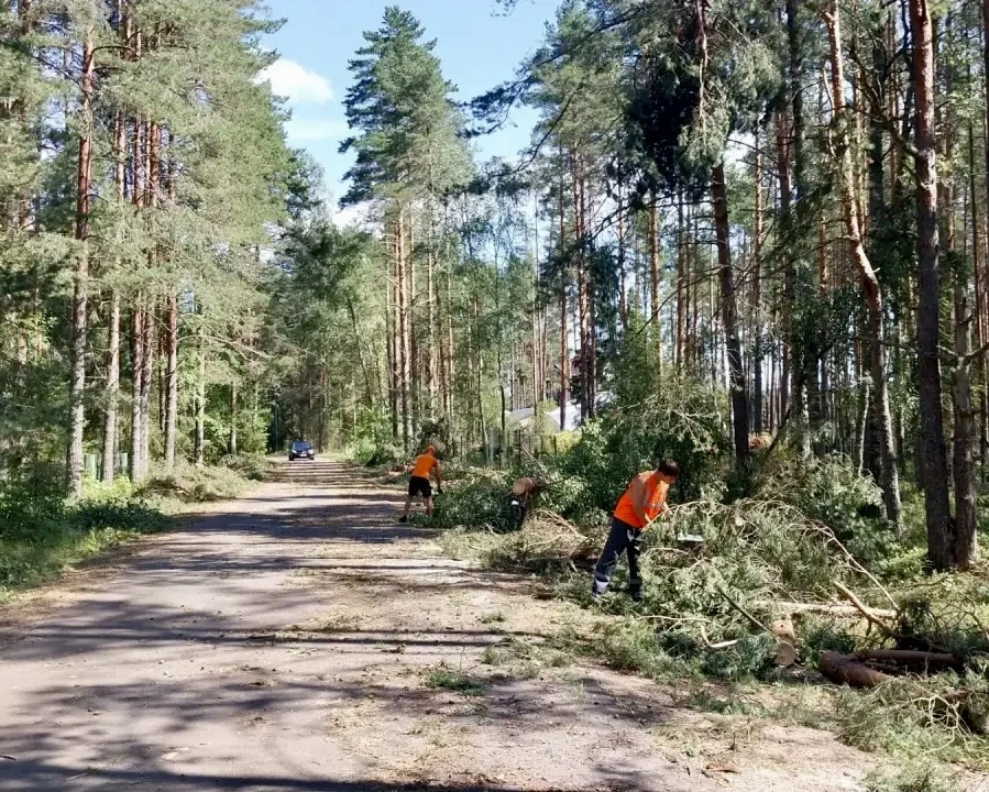 🪵 280 аварийных деревьев и 6 размывов устранили на областных дорогах за прошедшие выхо...