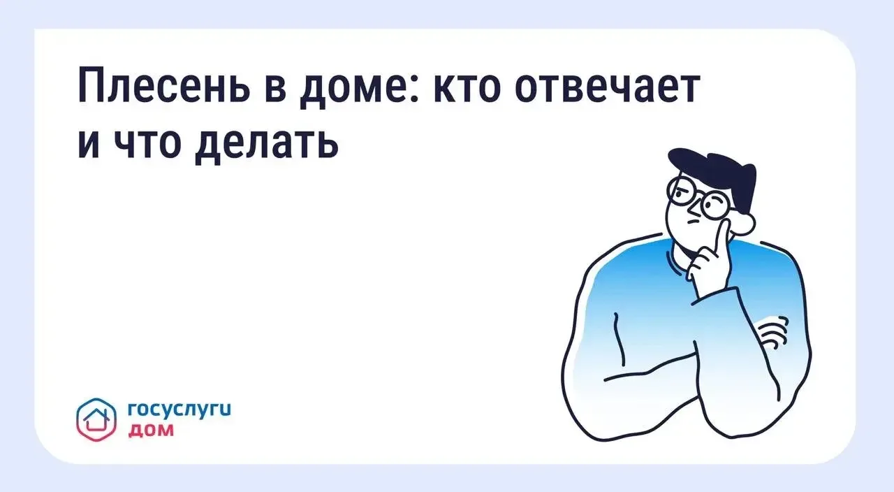 Что делать, если в квартире появилась плесень