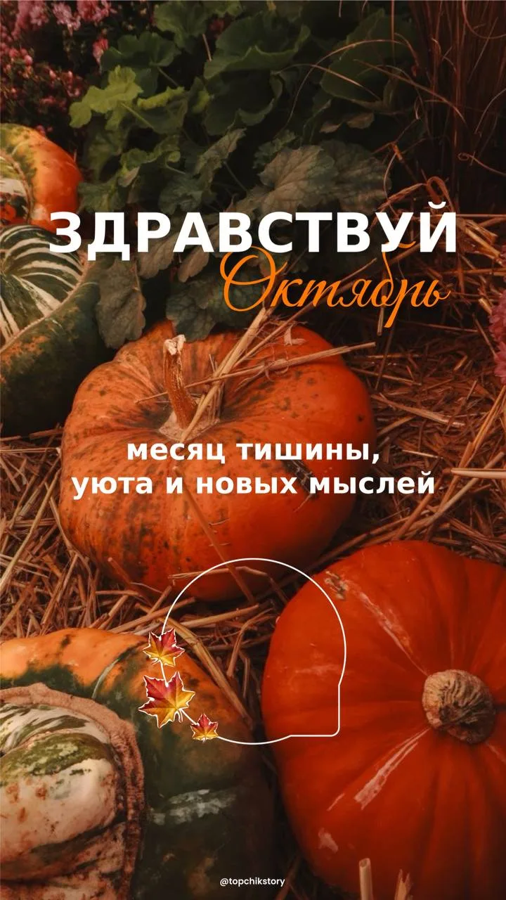 Понравилась открытка? Оставьте, пожалуйста, реакцию 🩷
