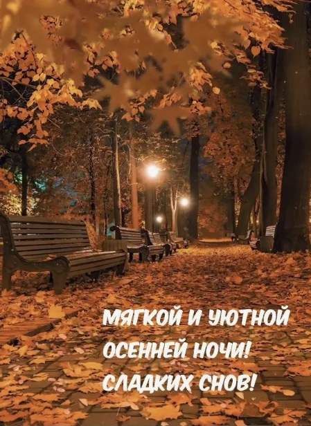 Если внутри у тебя все в порядке, то и снаружи все встанет на свои места (Экхарт Толле).