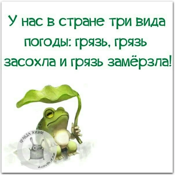 Смешно?😃 Жми лайк, пока не забыл. А подписка — чтобы не потерять того, кто поднимает тебе настроени