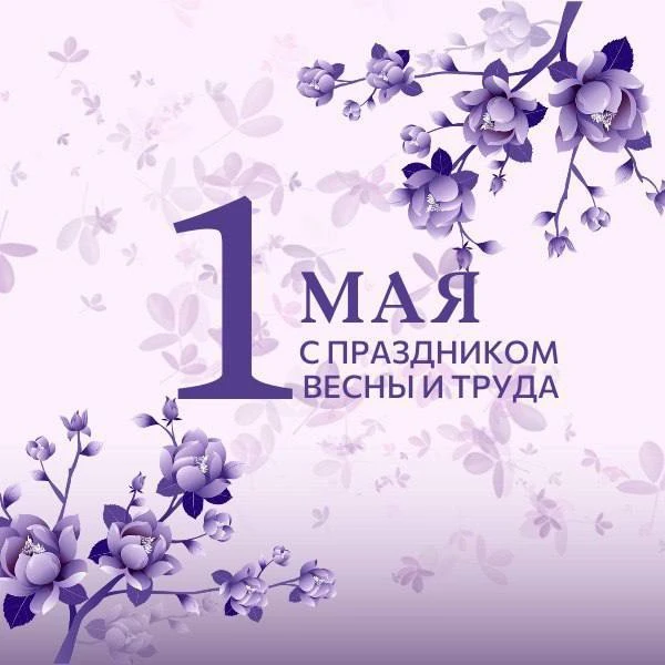 Дорогие друзья! 🎉