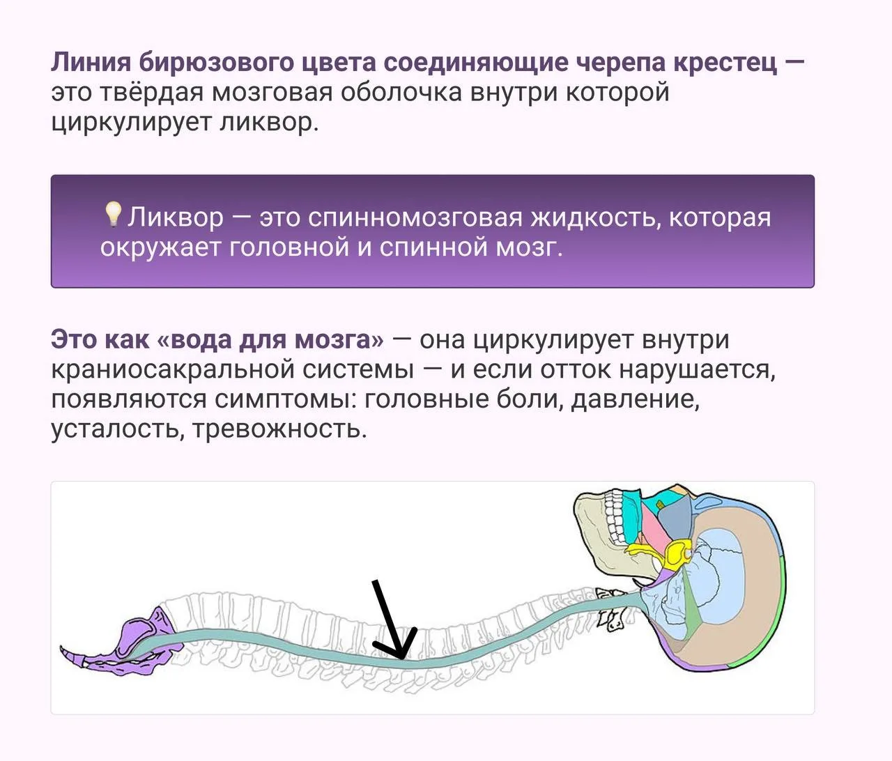 🔥 Головные боли, хронические ЛОР-заболевания, асимметрия лица, нарушение прикуса, бесс...