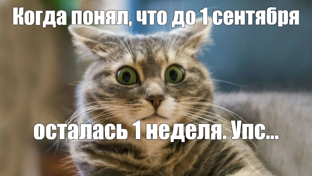 🍁До 1 сентября ровно неделя! Время финальной подготовки.