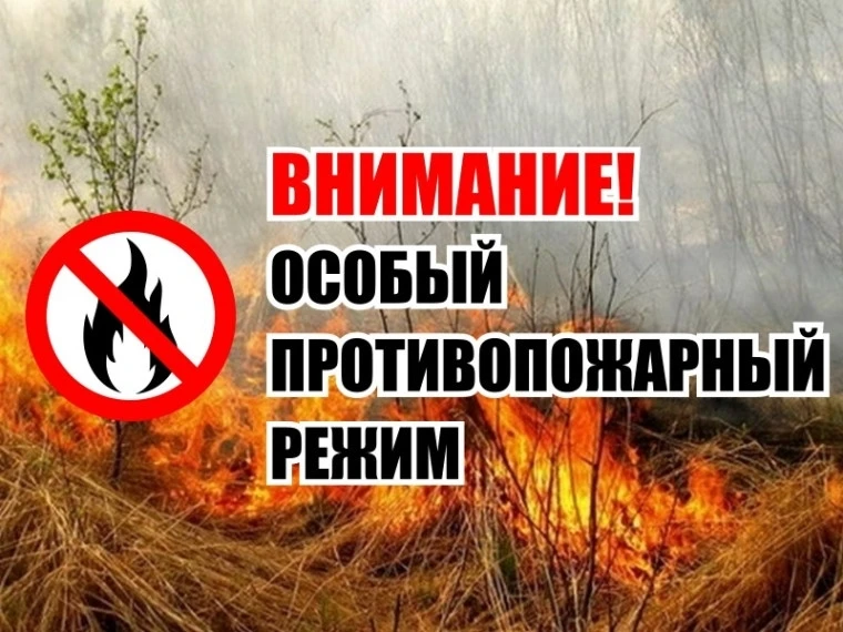 Важная информация для жителей Самарской области!