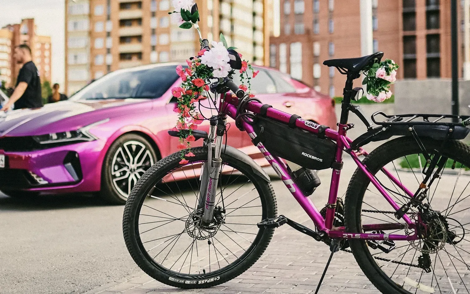 🚴🏼‍♀️ Автошкола 54 — за движение во всех его направлениях!