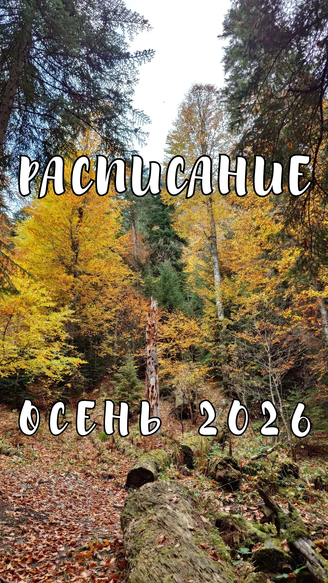 Сегодня последний день лета 2026... А это значит впереди яркие, эмоциональные, невероят...