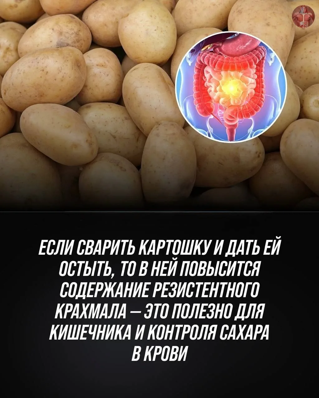 Про картошку.