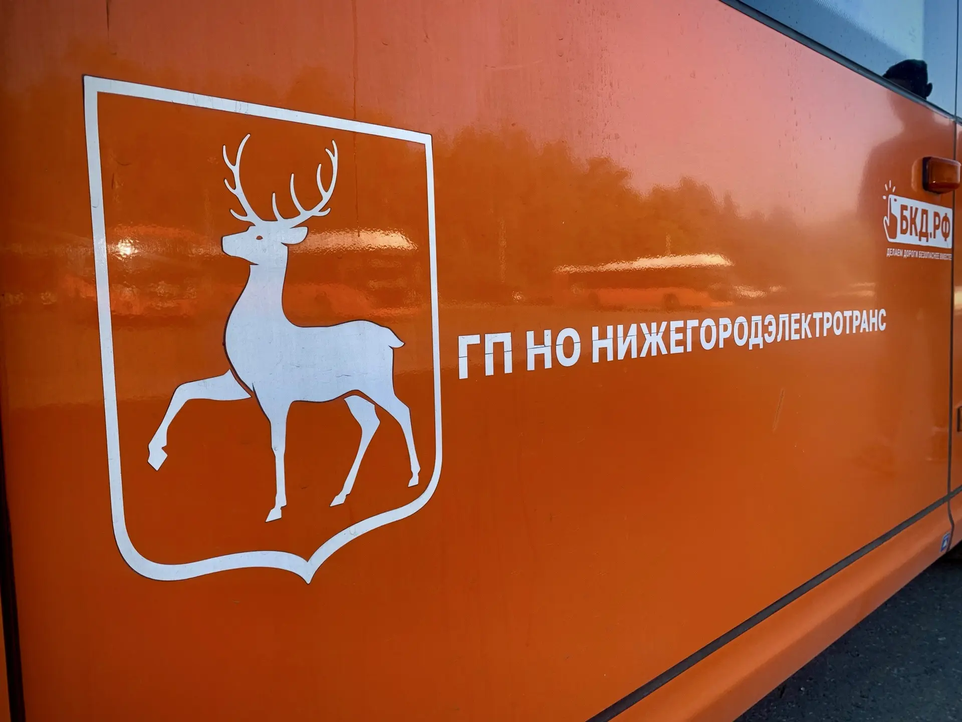 В августе жители и гости города чаще всего выбирали: