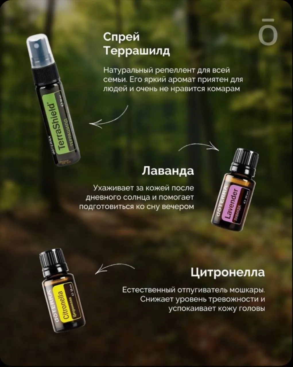 Эфирные масла от комаров 🦟